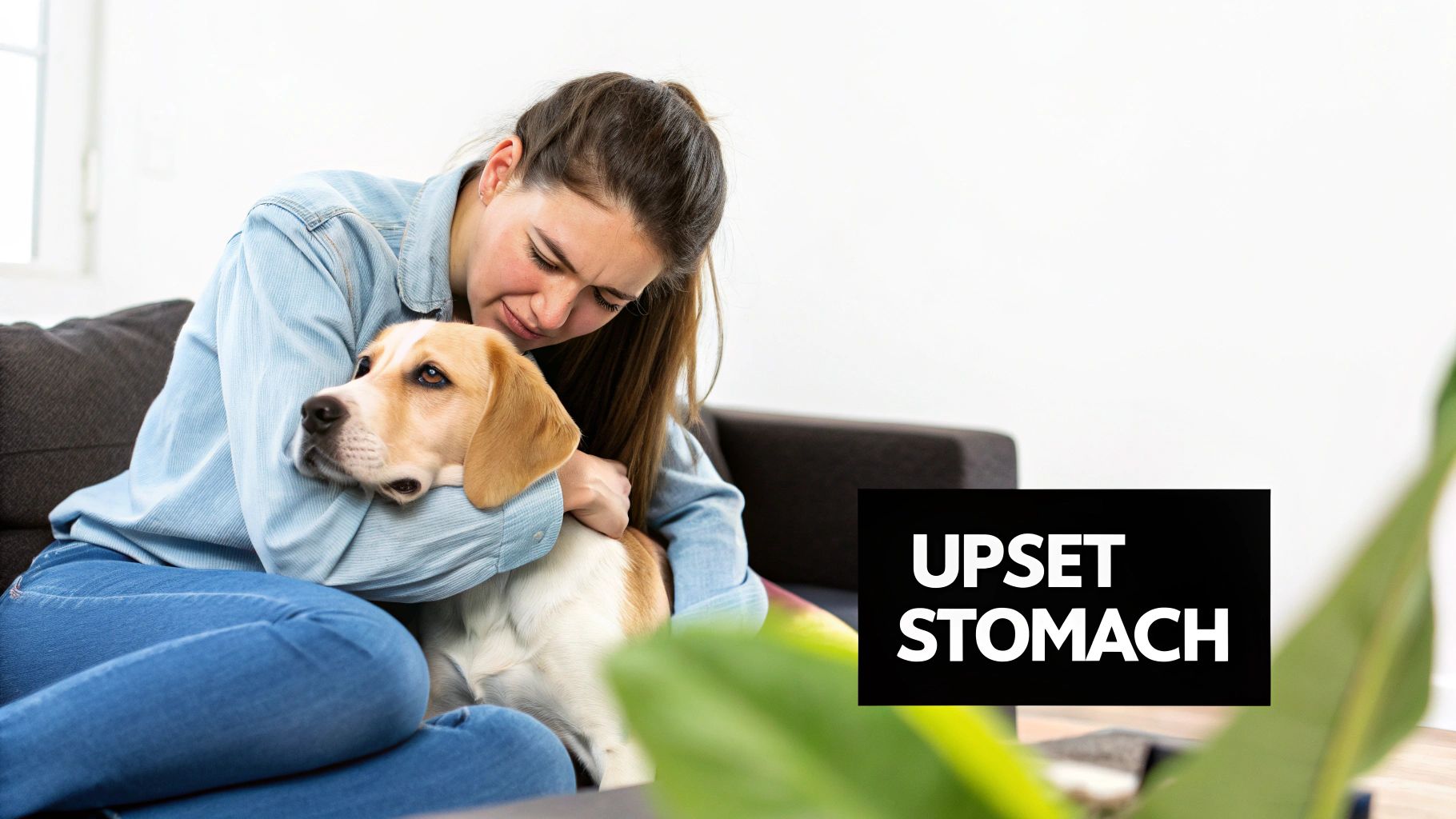 A distressed woman gently holding a beagle dog, with 'UPSET STOMACH' text, suggesting discomfort.