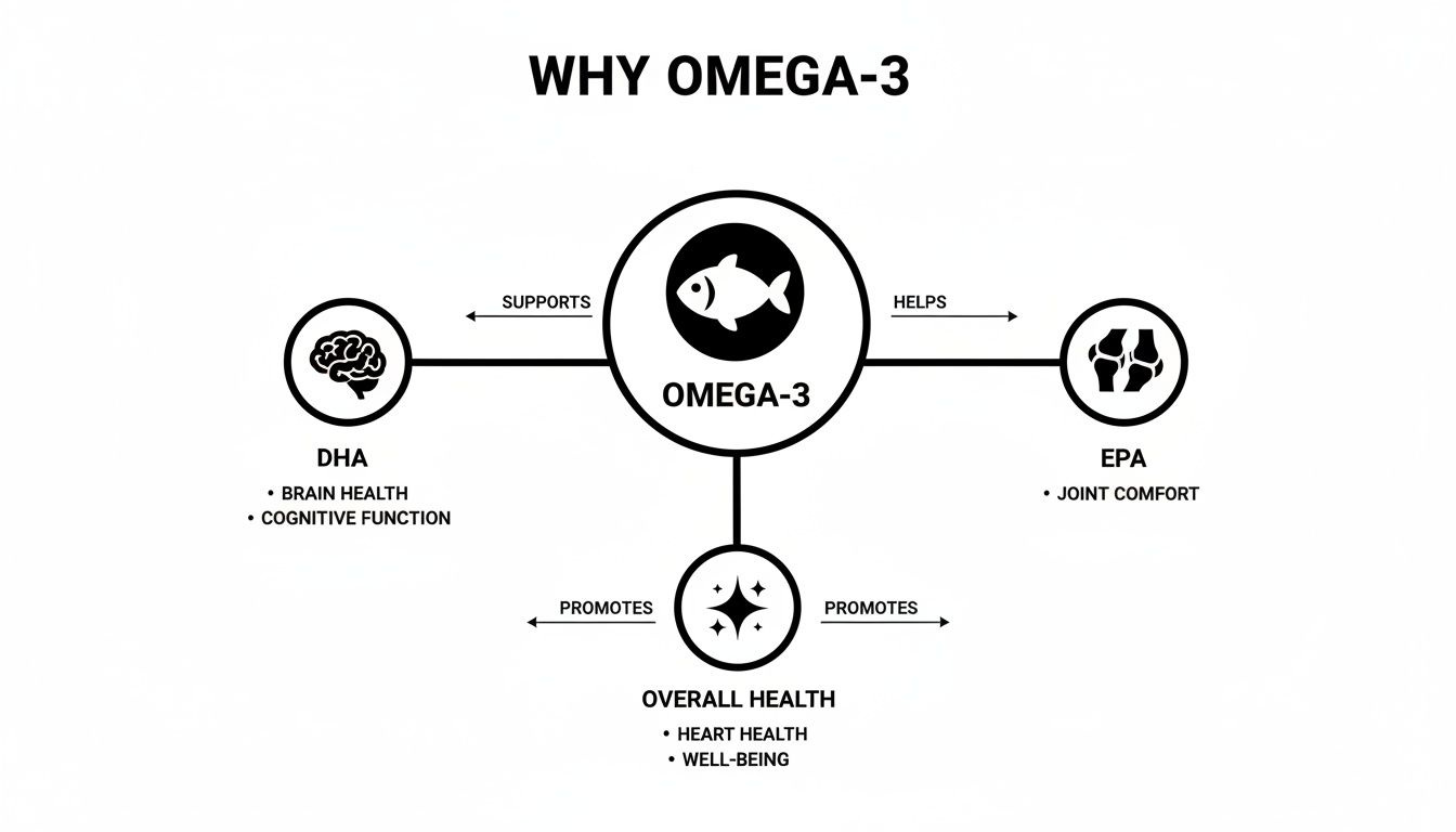 Diagram explaining the benefits of Omega-3 for brain, joint comfort, heart health, and overall well-being.