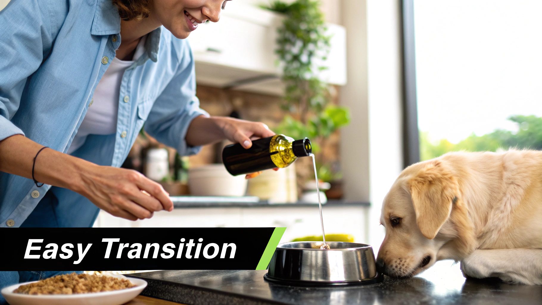 A person giving a supplement to their dog