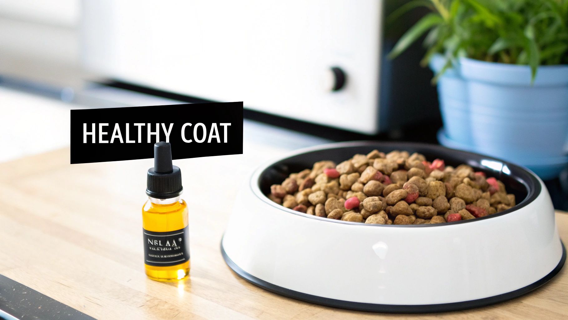 A small bottle of "NELAA" oil with a dropper and a "HEALTHY COAT" sign, next to pet food.