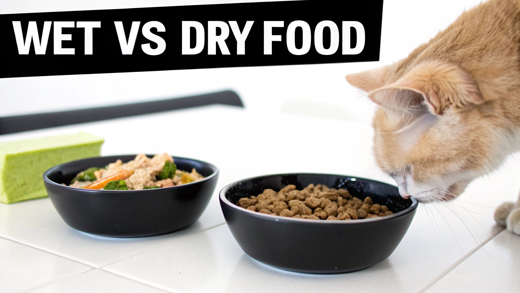 A cat sniffing a bowl of dry kibble, next to a bowl of wet food, with text 'WET VS DRY FOOD'.