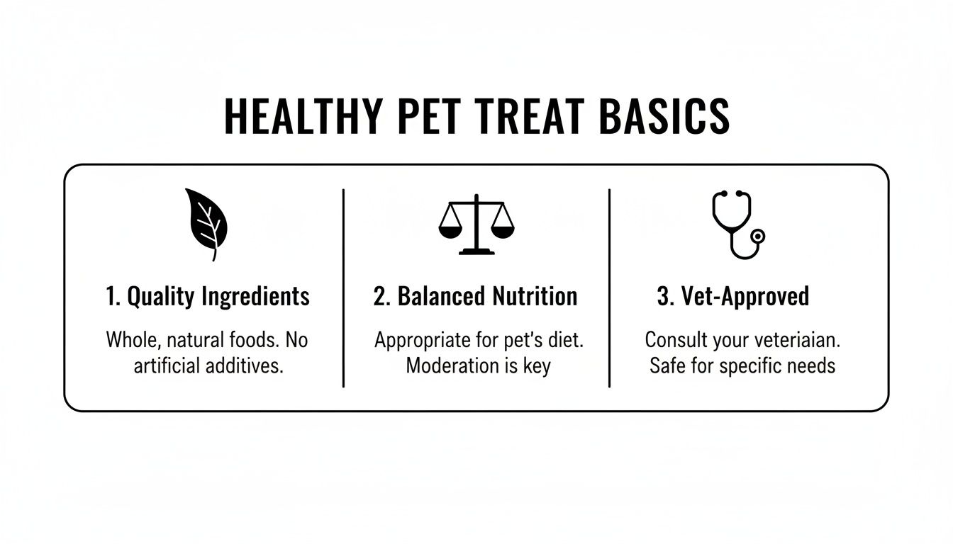 An infographic detailing three essential basics for healthy pet treats: quality ingredients, balanced nutrition, and vet-approval.