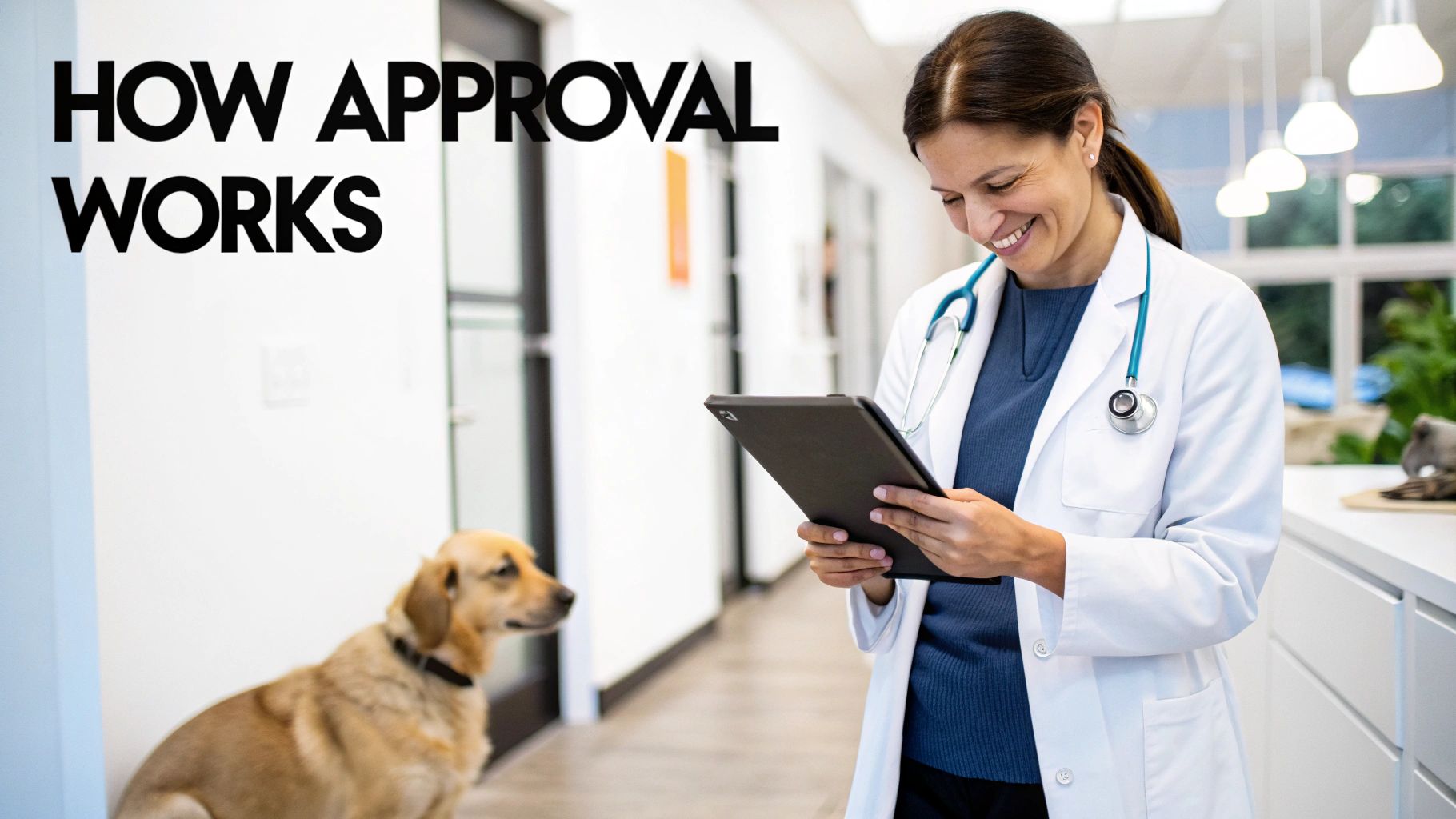 Vet reviewing dog treats