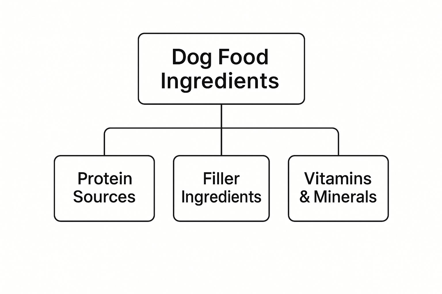 Infographic about dog food without fillers