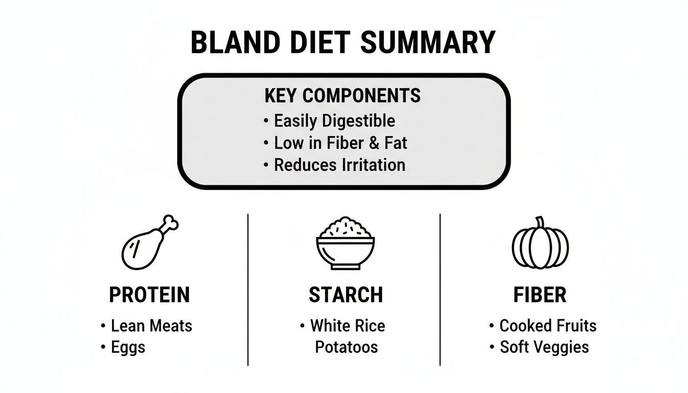 A bland diet summary with key components and recommended foods like lean meats, rice, and cooked fruits.