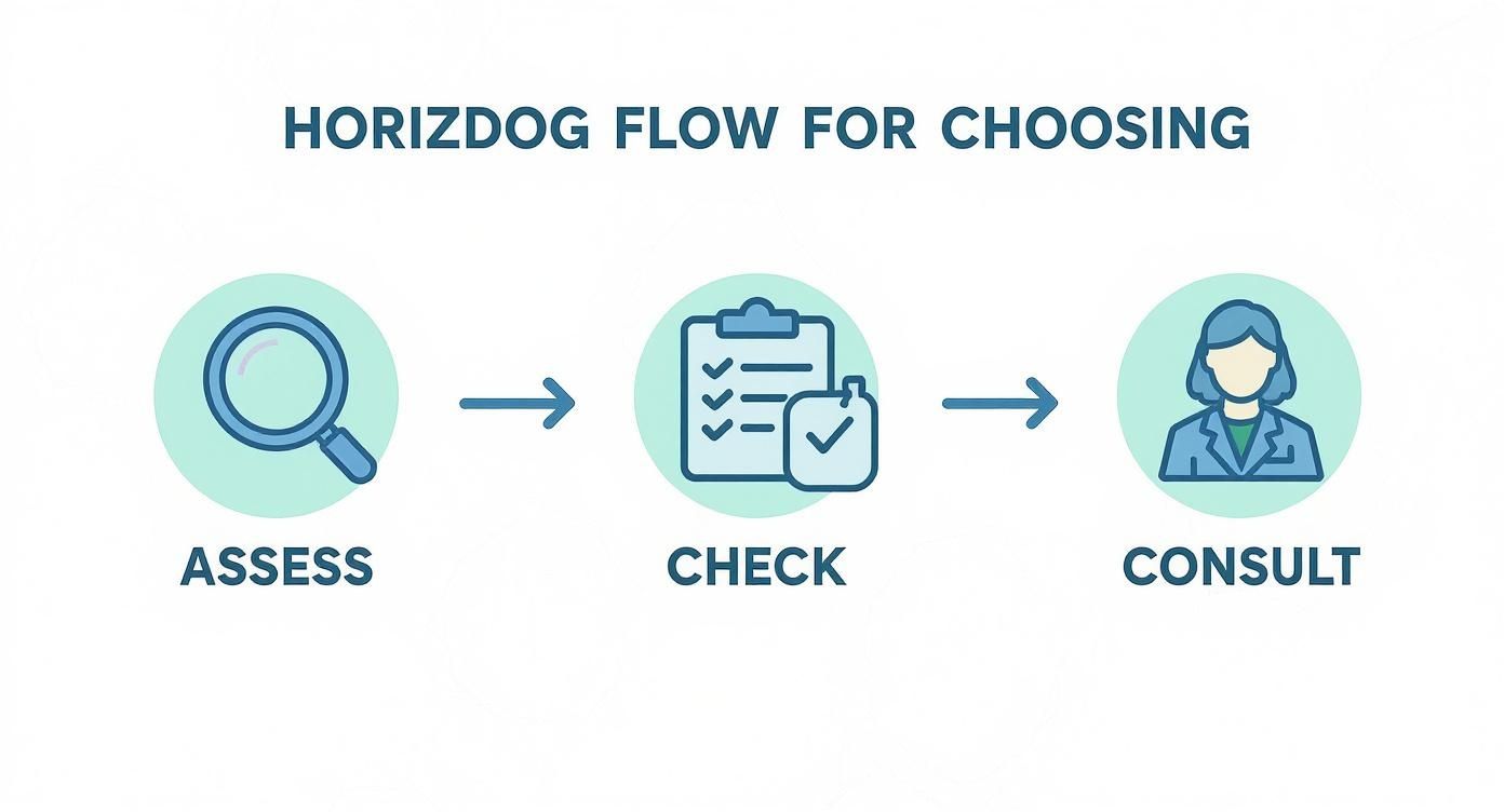A flow chart illustrating three steps: Assess with a magnifying glass, Check with a clipboard, and Consult with a person icon.