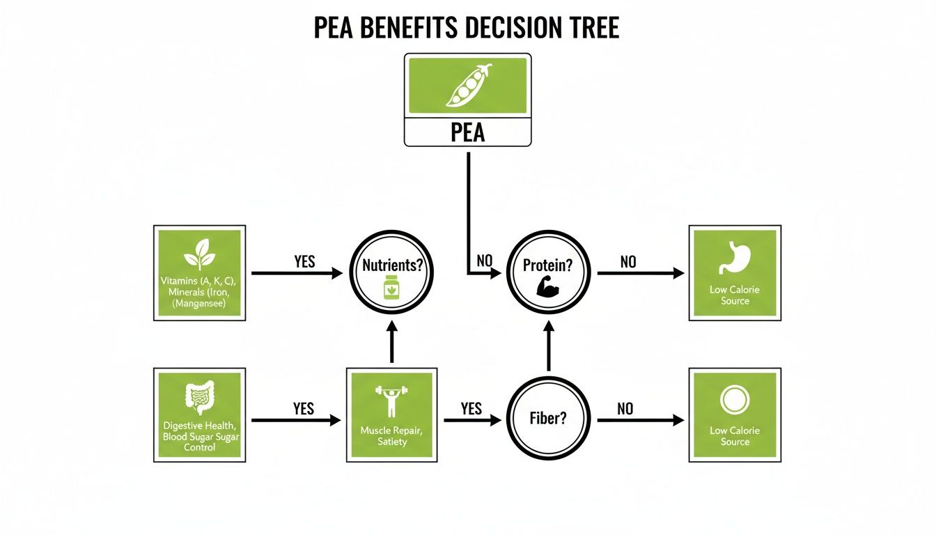 A decision tree diagram explaining the nutritional benefits of peas, including vitamins, minerals, protein, and fiber.