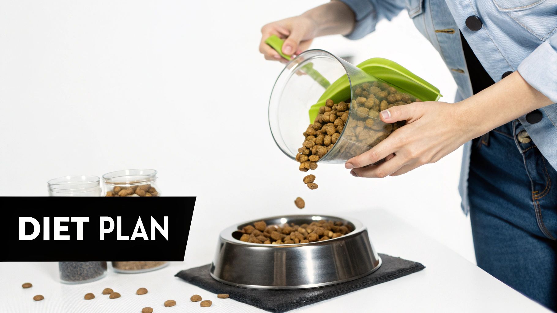 Person pouring dog food kibble from container into stainless steel bowl for diet plan