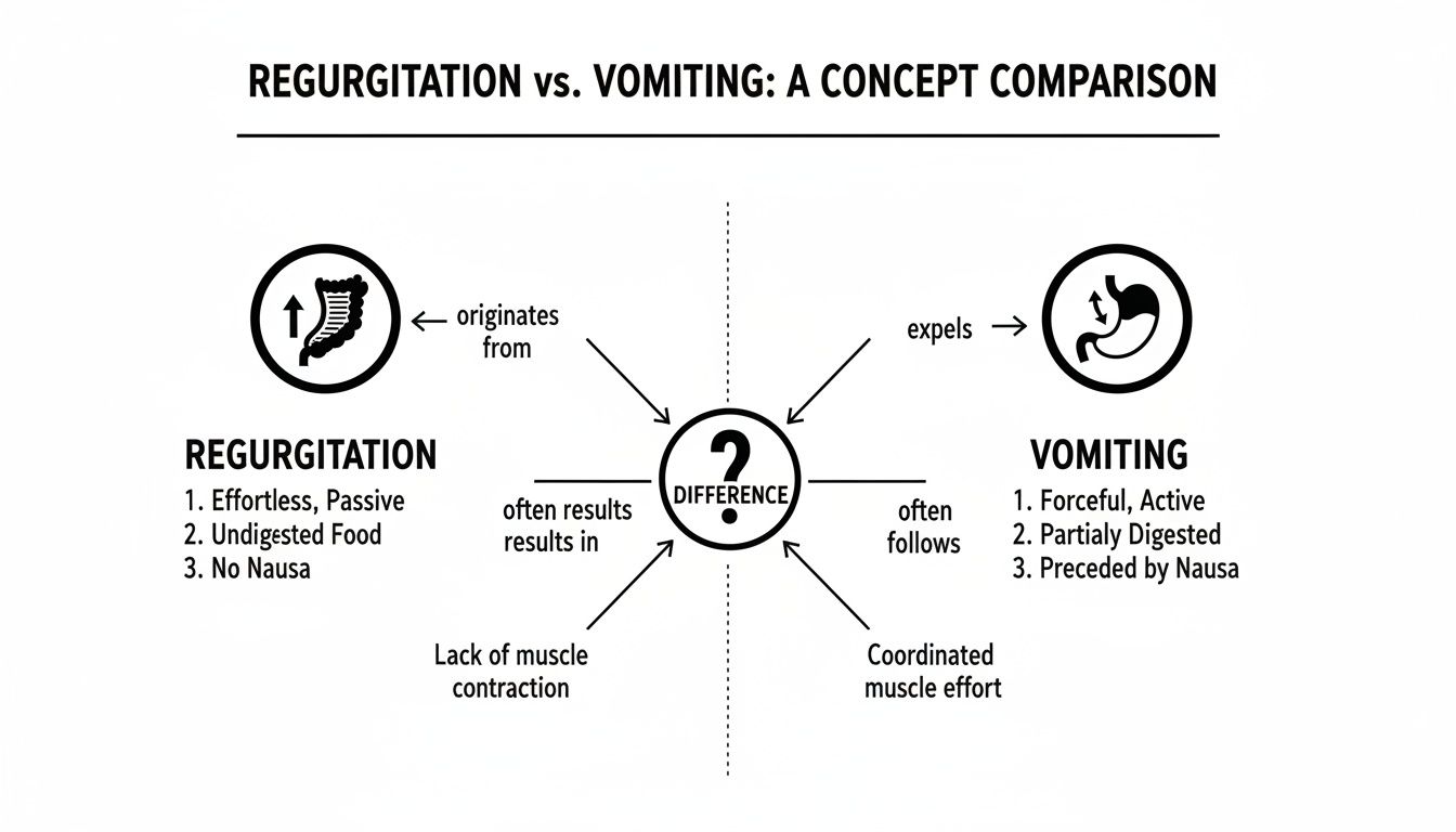 Diagram comparing regurgitation and vomiting, detailing their causes, symptoms, and characteristics for a clear distinction.