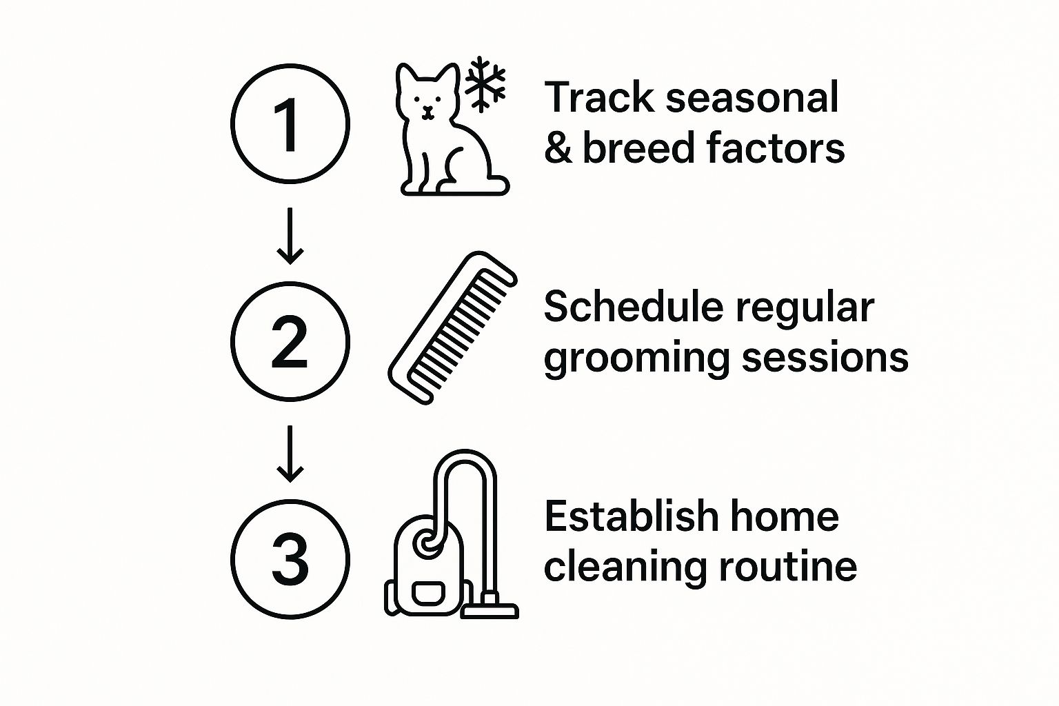 Infographic about how to reduce cat shedding