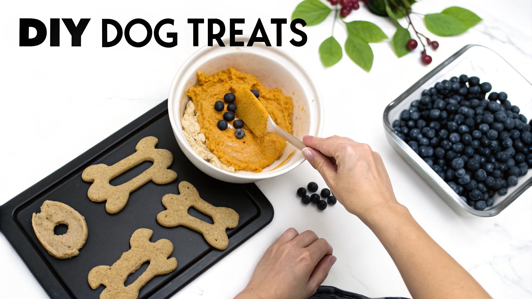 Overhead shot of a person preparing homemade dog treats with pumpkin, blueberries, and bone-shaped biscuits.