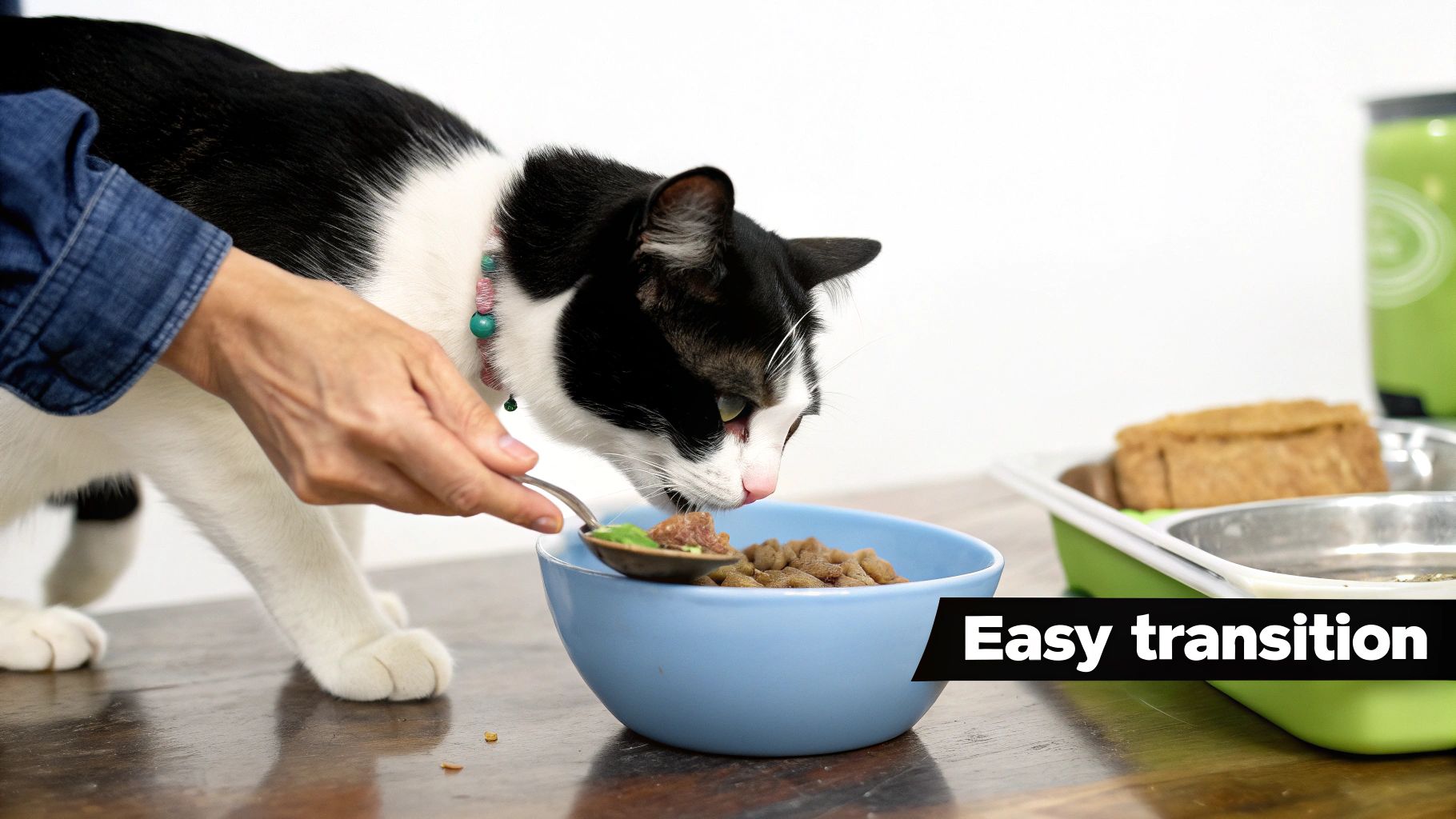 A person spoons wet food into a bowl of kibble for a black and white cat, implying an easy food transition.
