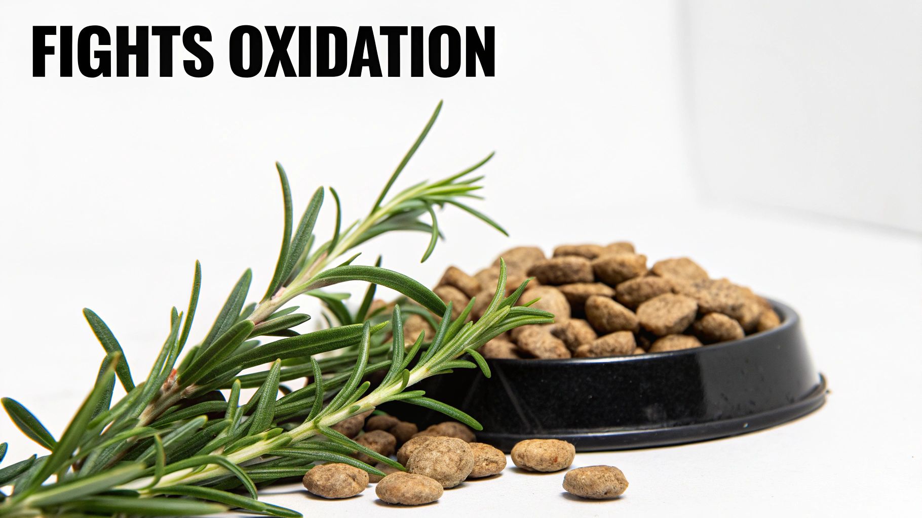 Fresh rosemary sprigs next to a black bowl of dog food, highlighting antioxidant benefits.