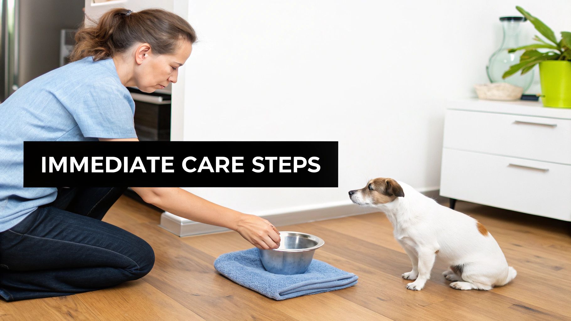 A woman kneels on the floor, placing a metal bowl on a towel for a small dog.