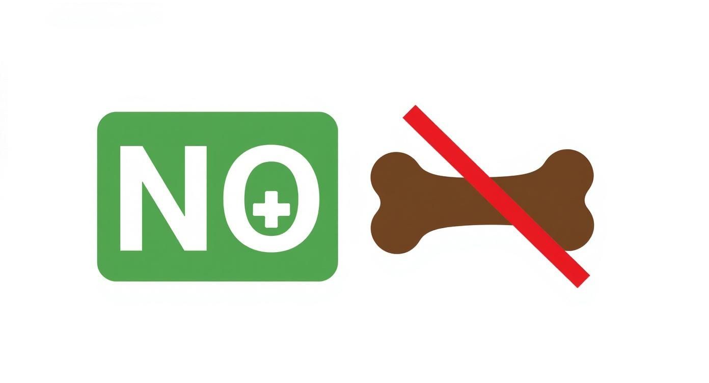 An infographic decision tree showing a question "Cooked Turkey Bone?" with a red X for "Yes" and a green checkmark with a vet icon for "No," emphasizing the professional advice to avoid them.
