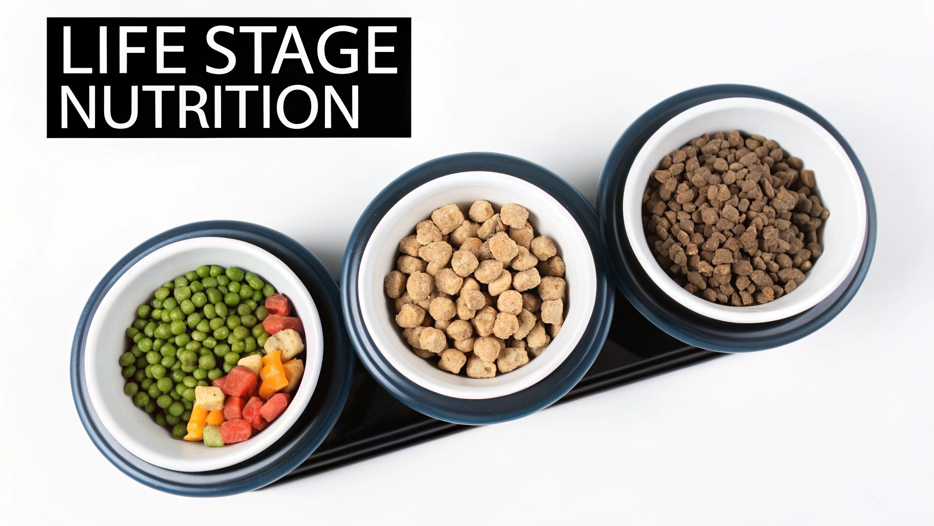 Three pet food bowls displaying varied kibble and fresh ingredients, illustrating 'Life Stage Nutrition'.