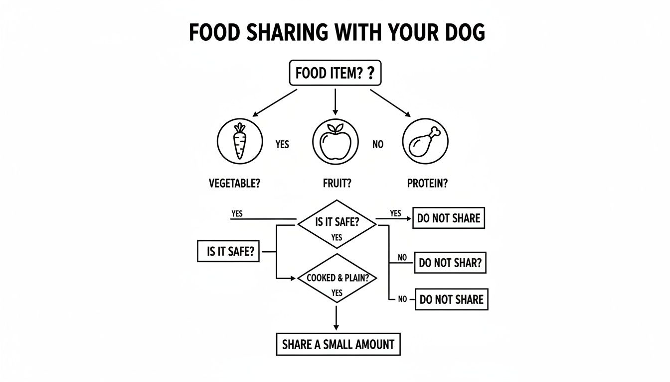 Flowchart guiding dog owners on safe food sharing, evaluating if food is safe, cooked, and plain before sharing.