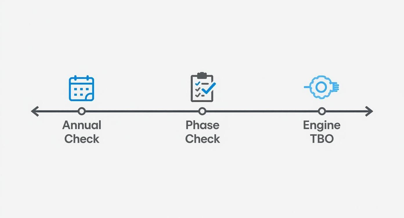 A timeline graphic illustrates three stages of aircraft maintenance: Annual Check, Phase Check, and Engine TBO.