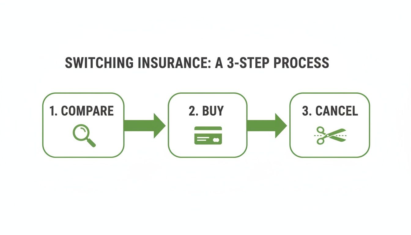 Infographic illustrating the 3-step process of switching insurance: compare, buy, and cancel.