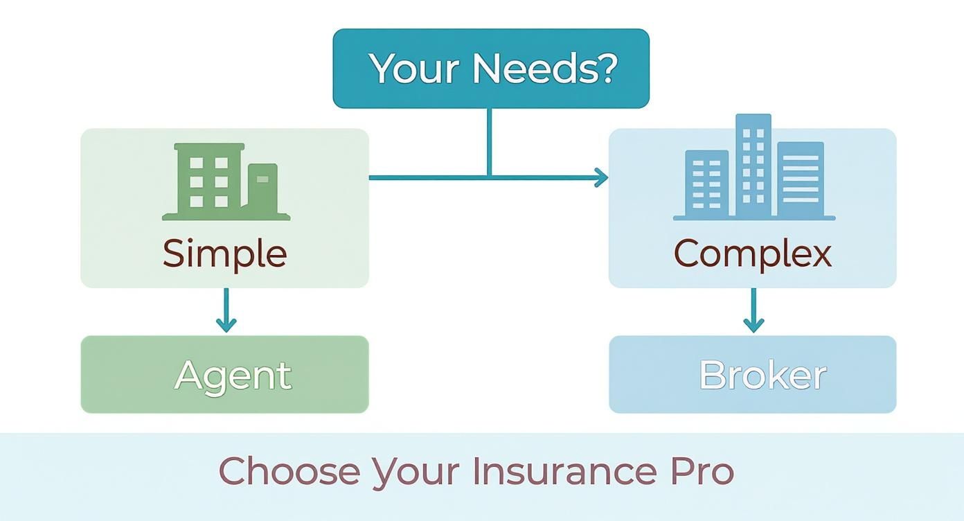 Infographic about difference between agents and brokers in insurance