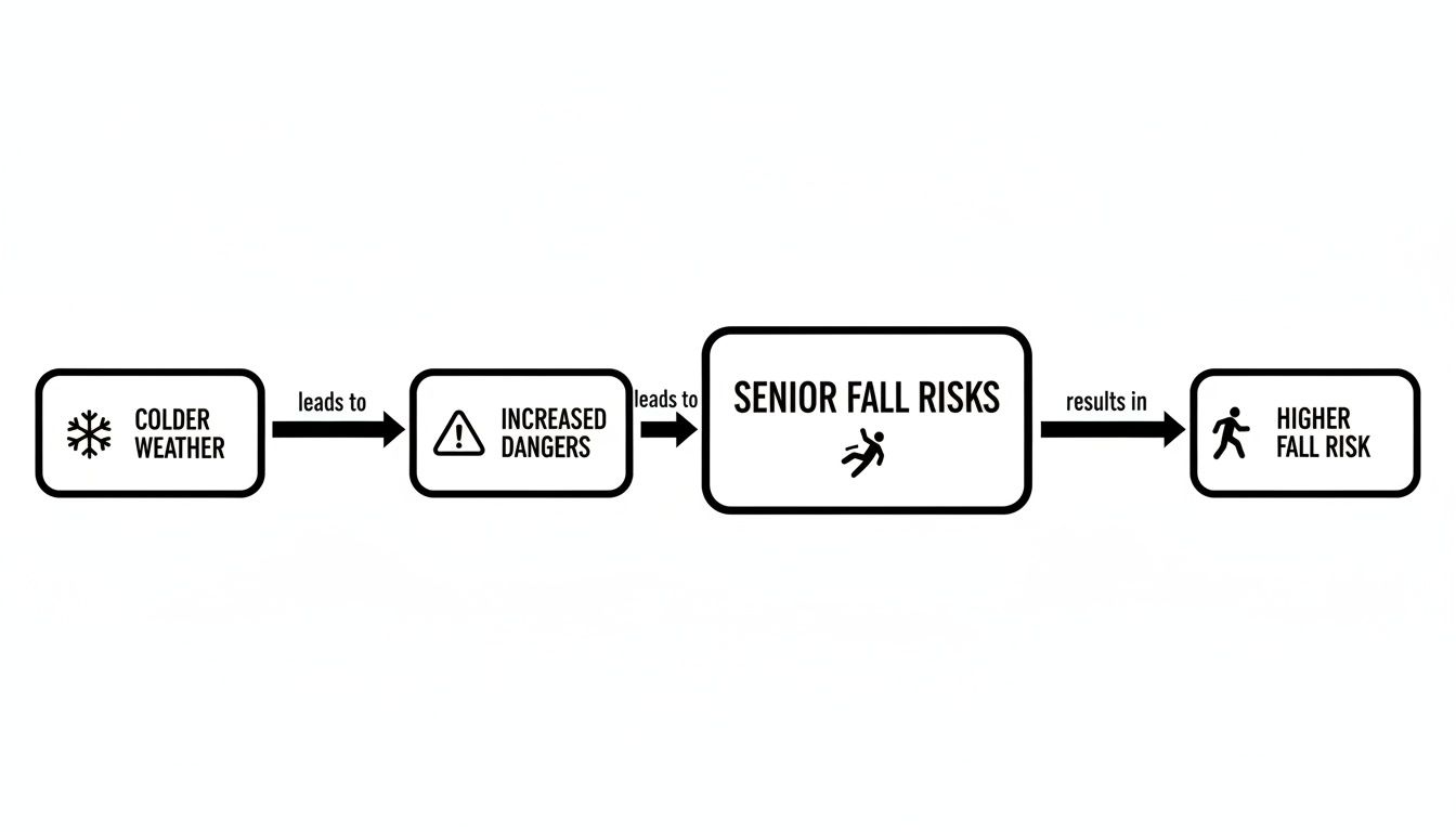 Flowchart showing colder weather leads to increased dangers, resulting in higher fall risks for seniors.