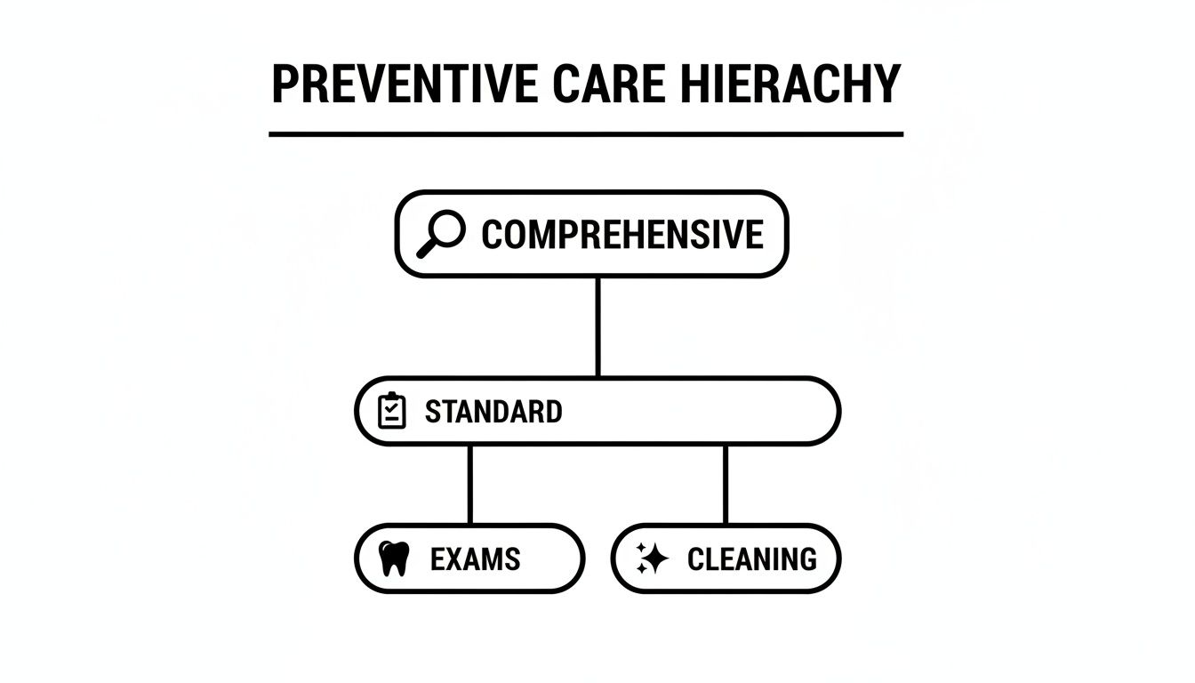 A hierarchy diagram illustrating preventive dental care levels: Comprehensive, Standard, Exams, and Cleaning.