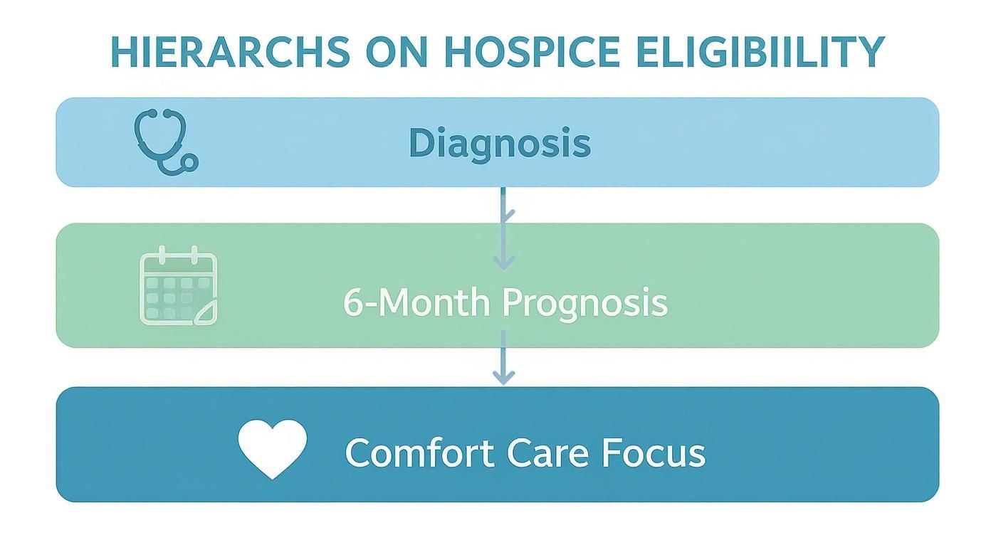 Infographic showing the hierarchy of hospice eligibility, starting with Diagnosis, then 6-Month Prognosis, and finally a Comfort Care Focus.