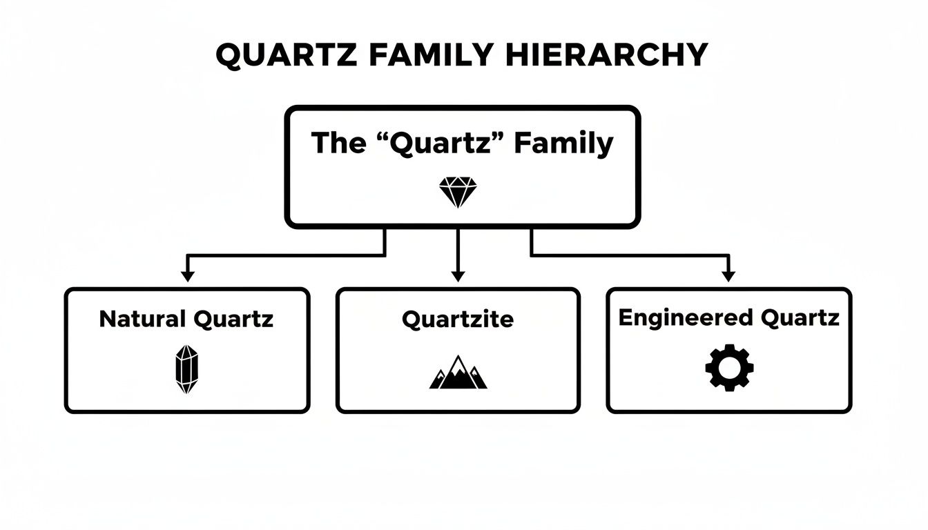 A hierarchy chart illustrating the Quartz family's division into Natural Quartz, Quartzite, and Engineered Quartz.