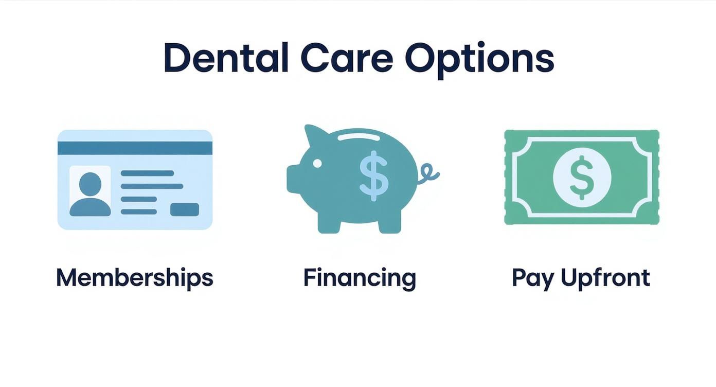 Visualizing dental care payment options including memberships, financing with a piggy bank, and paying upfront.