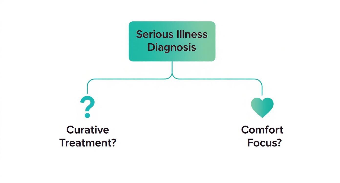 Flowchart illustrating the decision between curative treatment and comfort focus after a serious illness diagnosis.