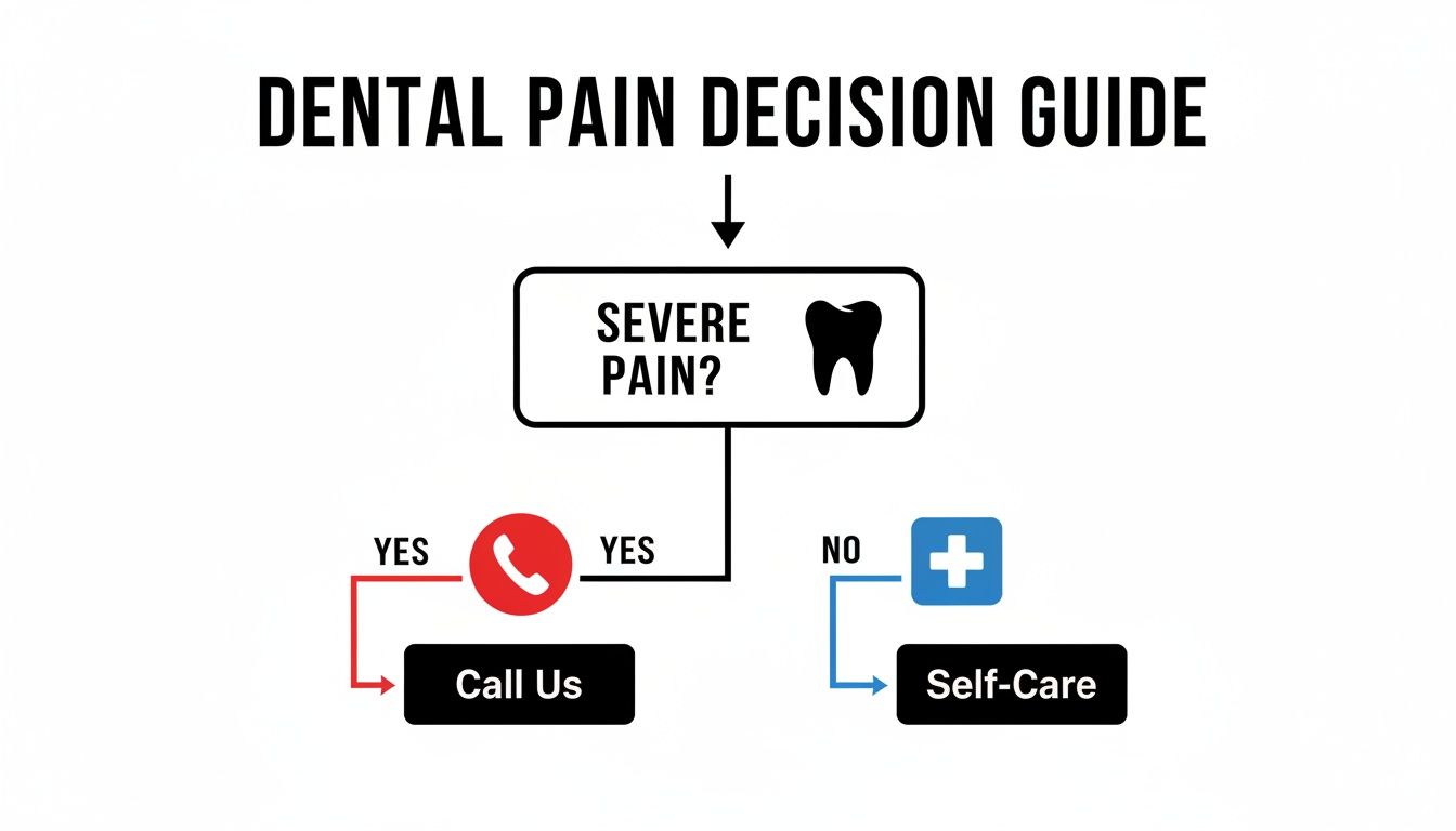 A flowchart titled 'Dental Pain Decision Guide' shows steps for severe and non-severe dental pain.
