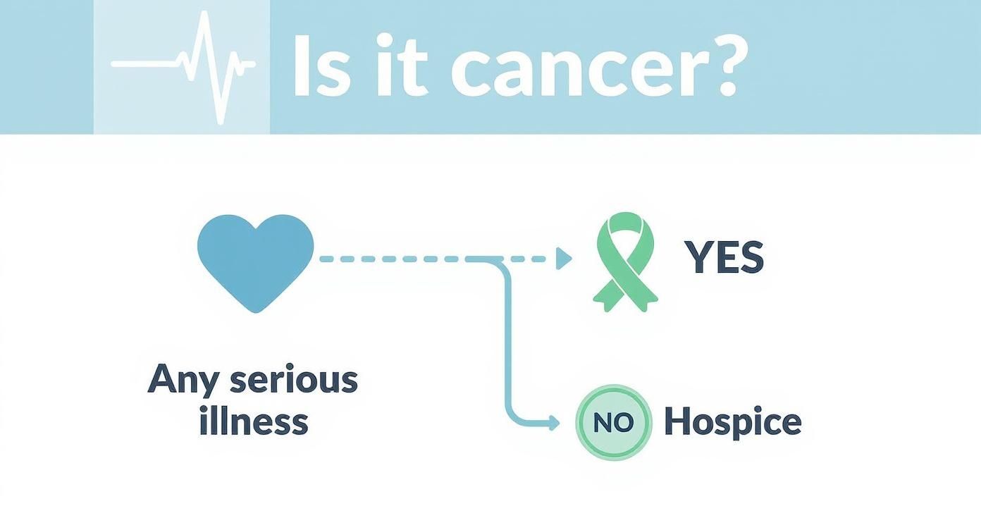Infographic decision tree showing that any serious illness, whether cancer or not, can lead to hospice care.