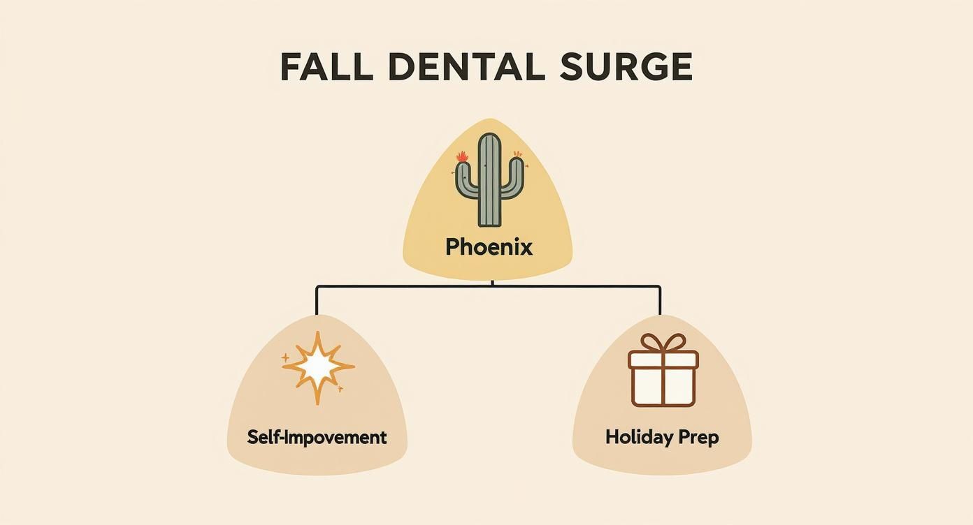 Infographic about back in phoenix for the season? why now is the best time to prioritize your dental health