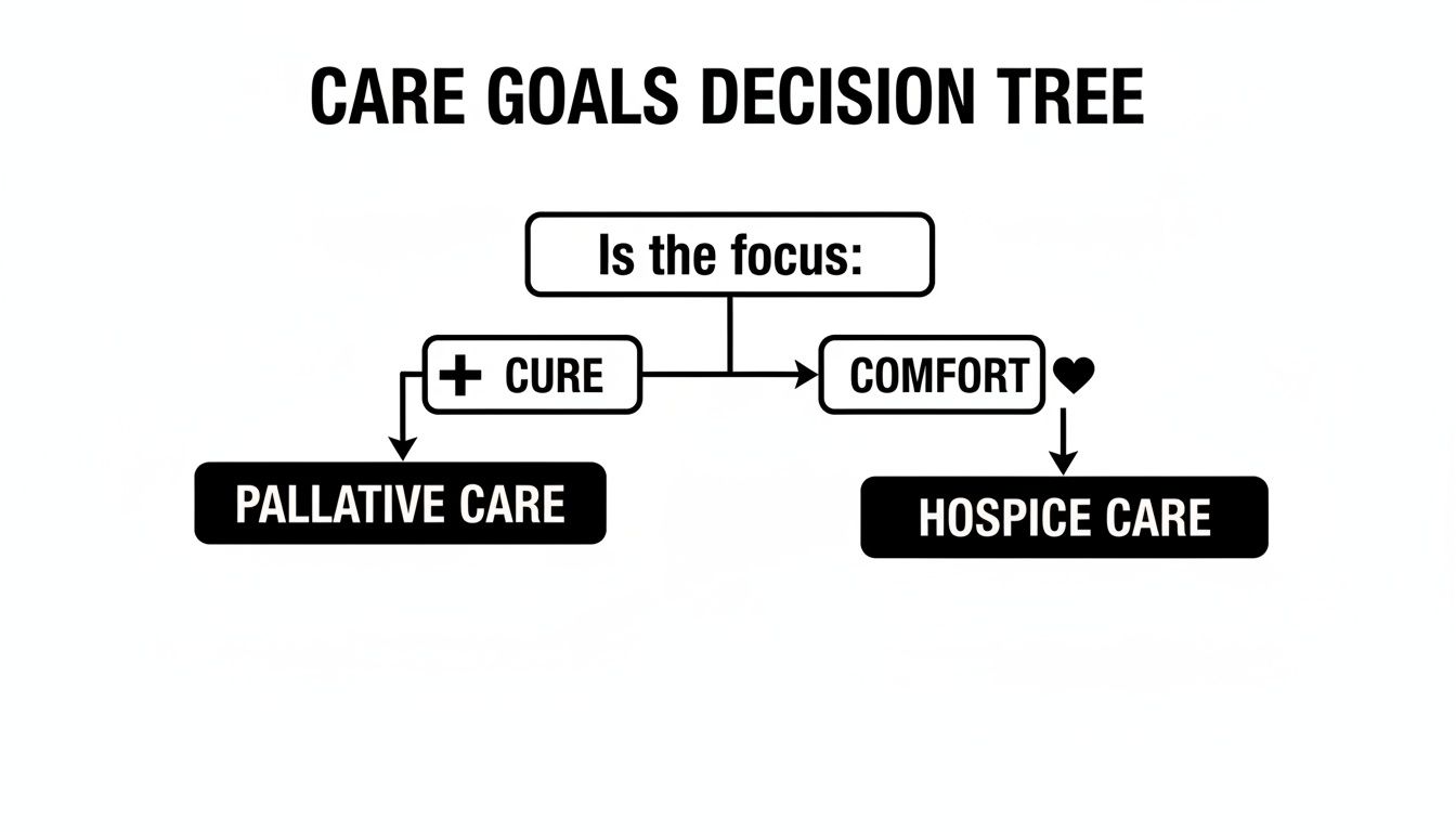 A decision tree illustrating that a focus on cure leads to palliative care, while comfort leads to hospice care.