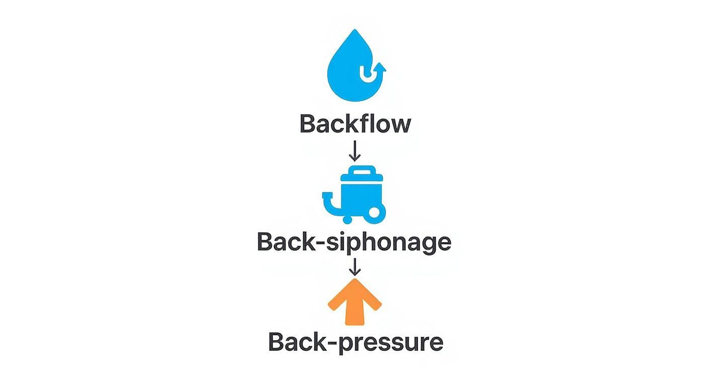 Diagram illustrating backflow, back-siphonage, and back-pressure concepts with associated icons and arrows.