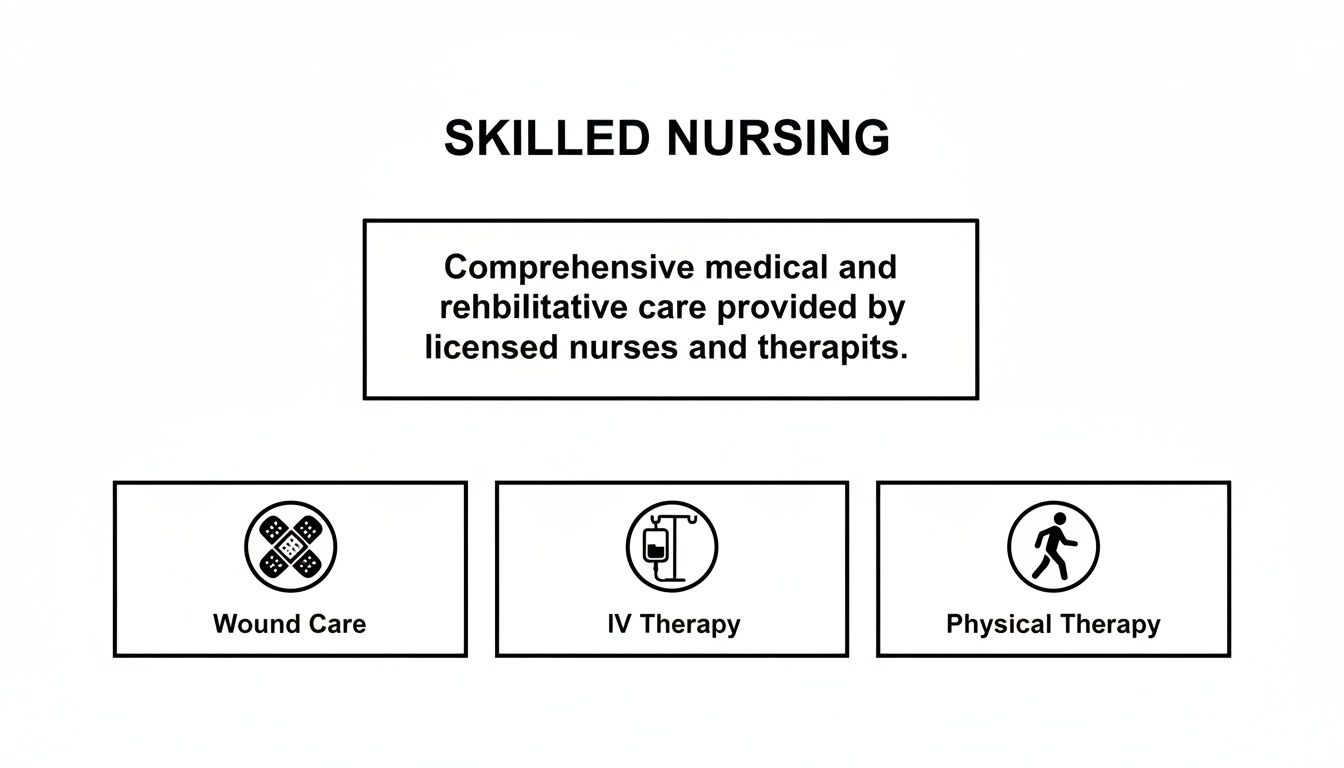 Infographic outlining skilled nursing services including wound care, IV therapy, and physical therapy.