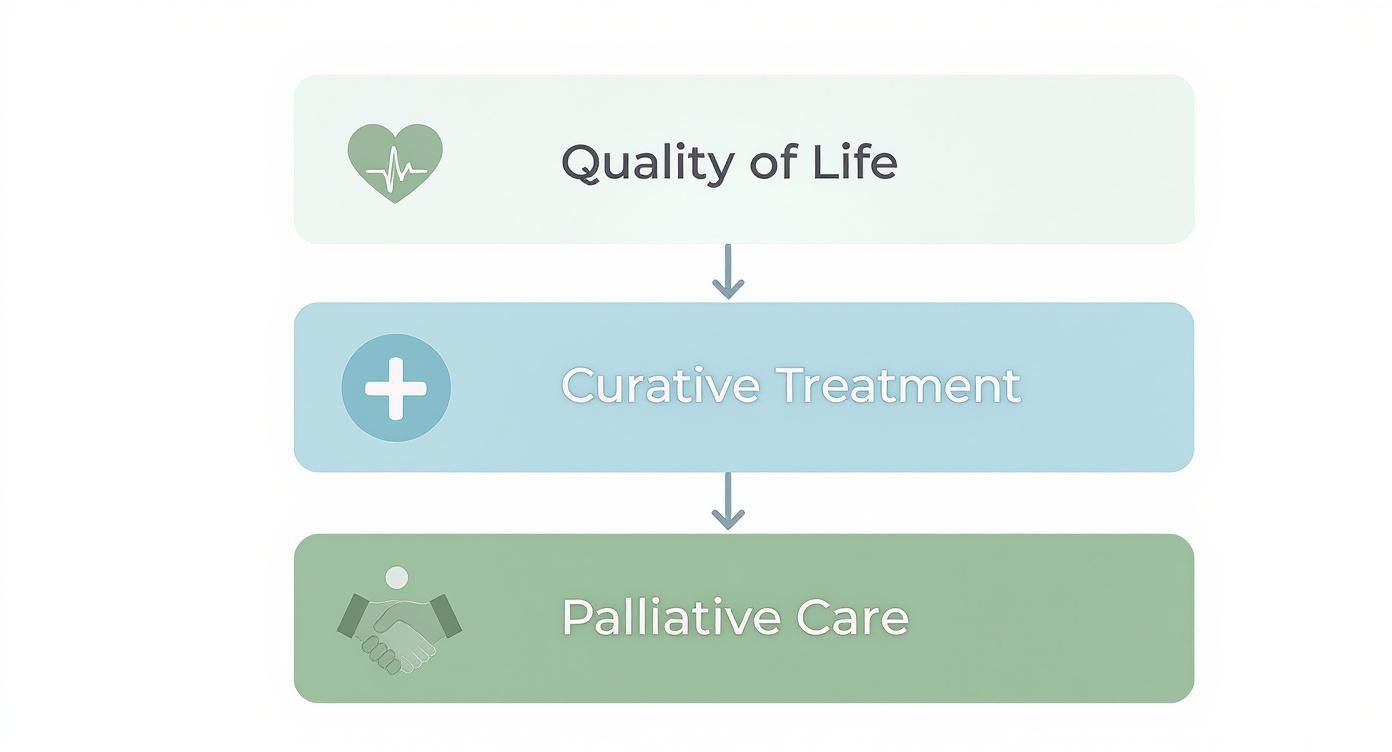 Infographic about not just for end-of-life: what palliative care really means for families today
