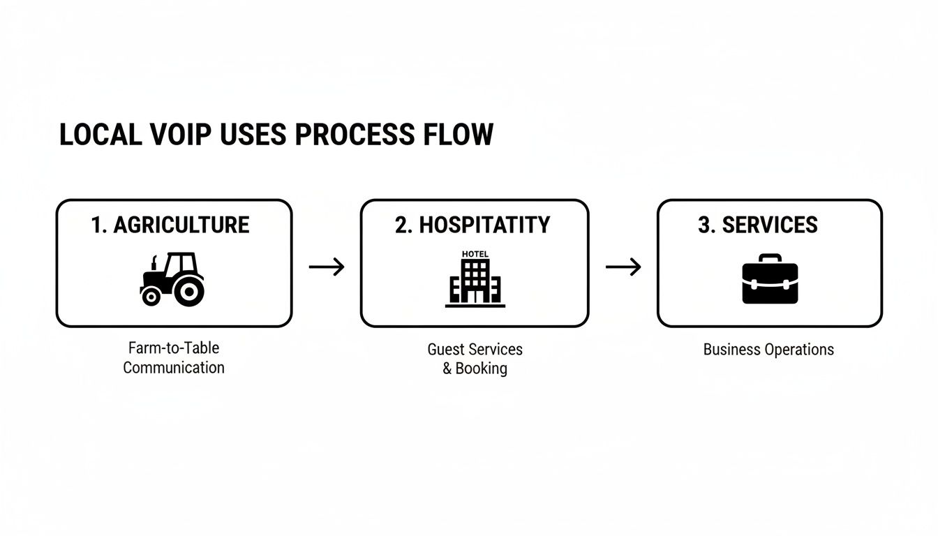 Local VoIP uses process flow diagram highlighting applications in agriculture, hospitality, and general services.