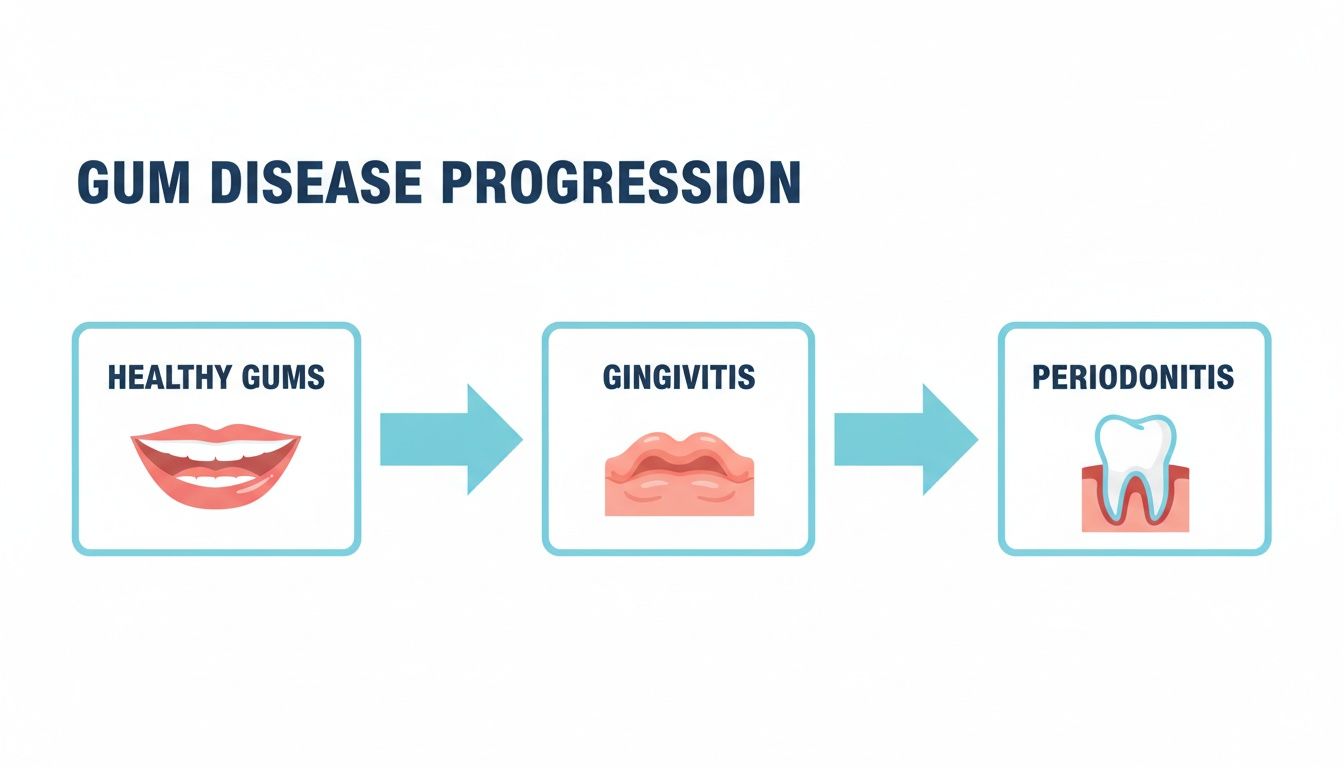 Infographic showing the progression of gum disease from healthy gums to gingivitis and then to periodontitis.