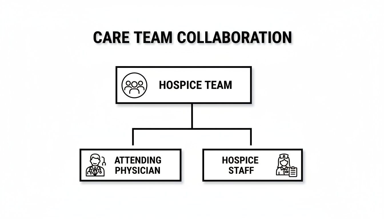 Organizational chart showing hospice team collaboration with attending physician and hospice staff.