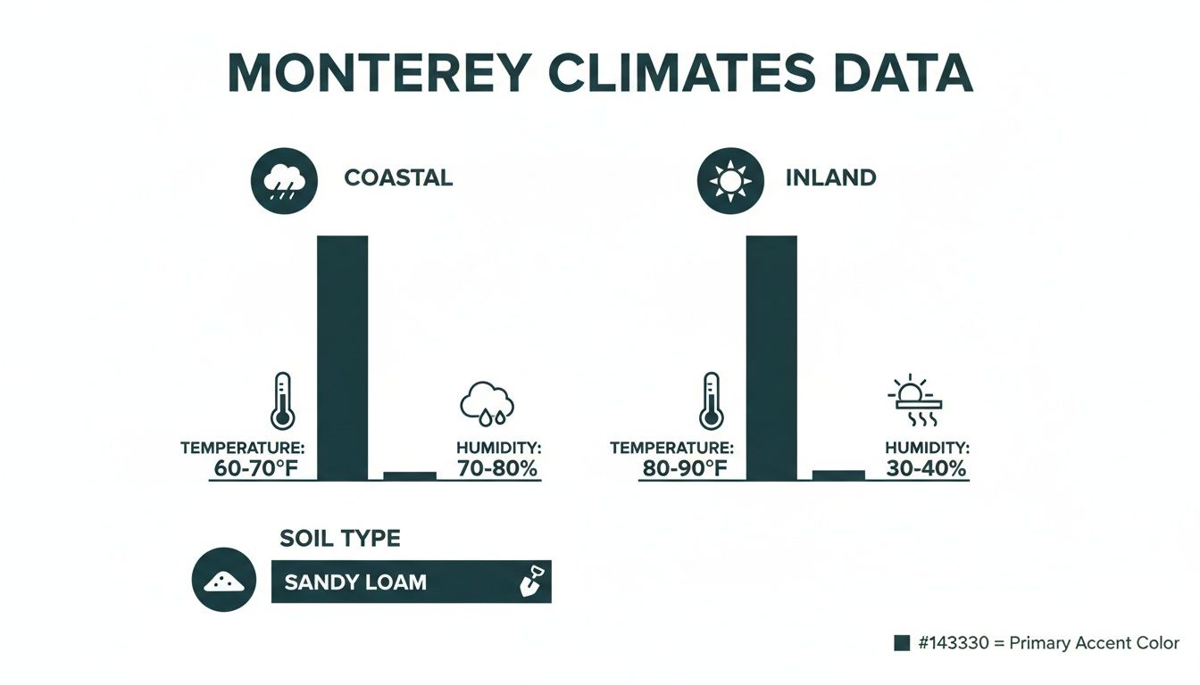 Infographic comparing Monterey's coastal and inland climate data, including temperature, humidity, and soil type.
