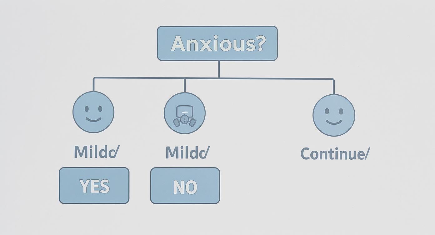 A flowchart asks 'Anxious?' with branches leading to options like 'Mildd' (Yes/No) and 'Continue' with icons.