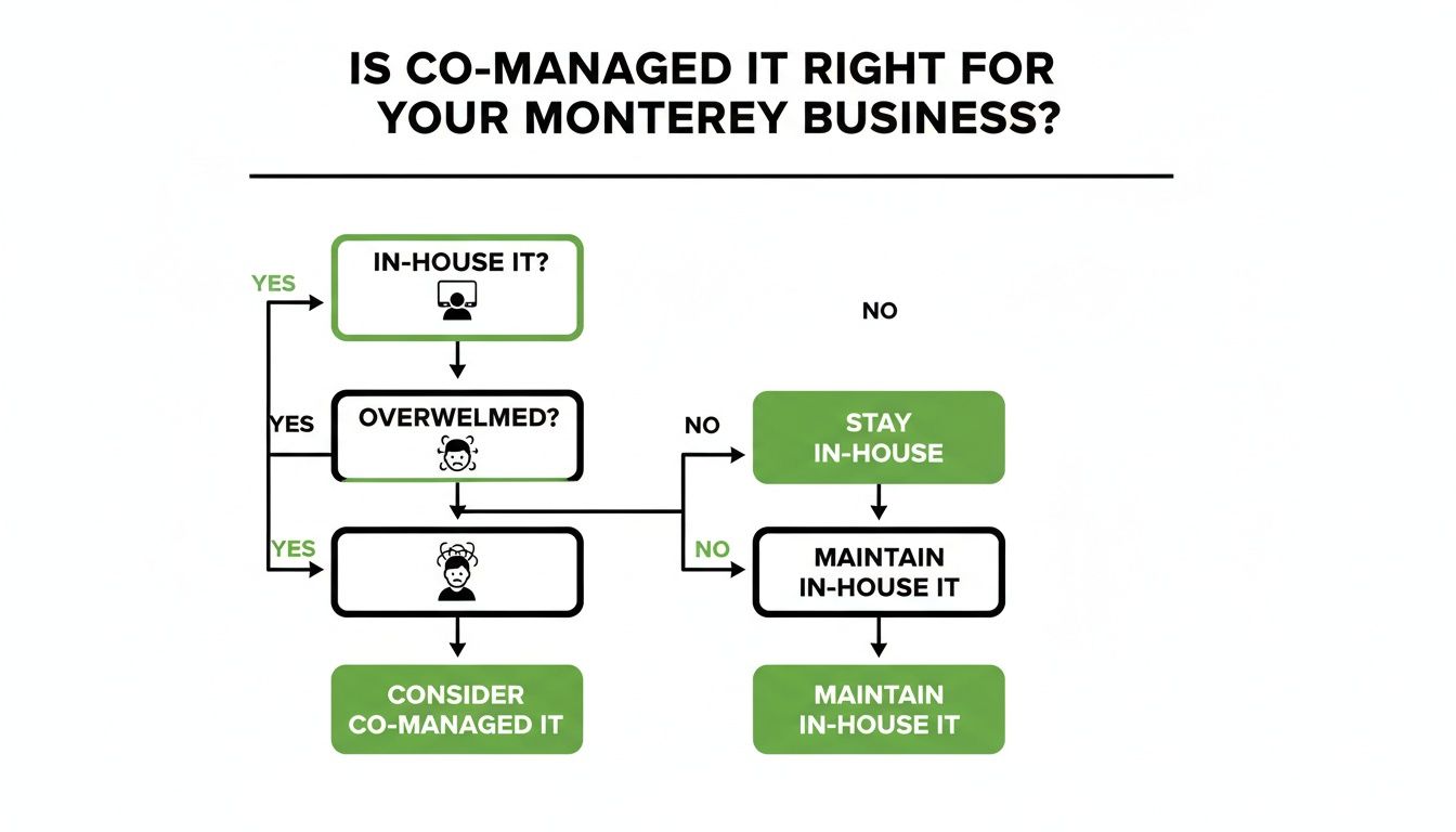 A flowchart outlining decision steps for Monterey businesses to determine if co-managed IT is suitable.