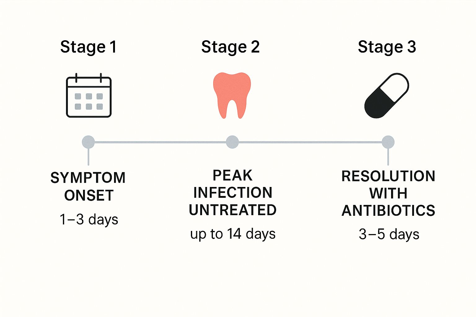 How Long Until a Tooth Infection Kills You? Shocking Truth Revealed