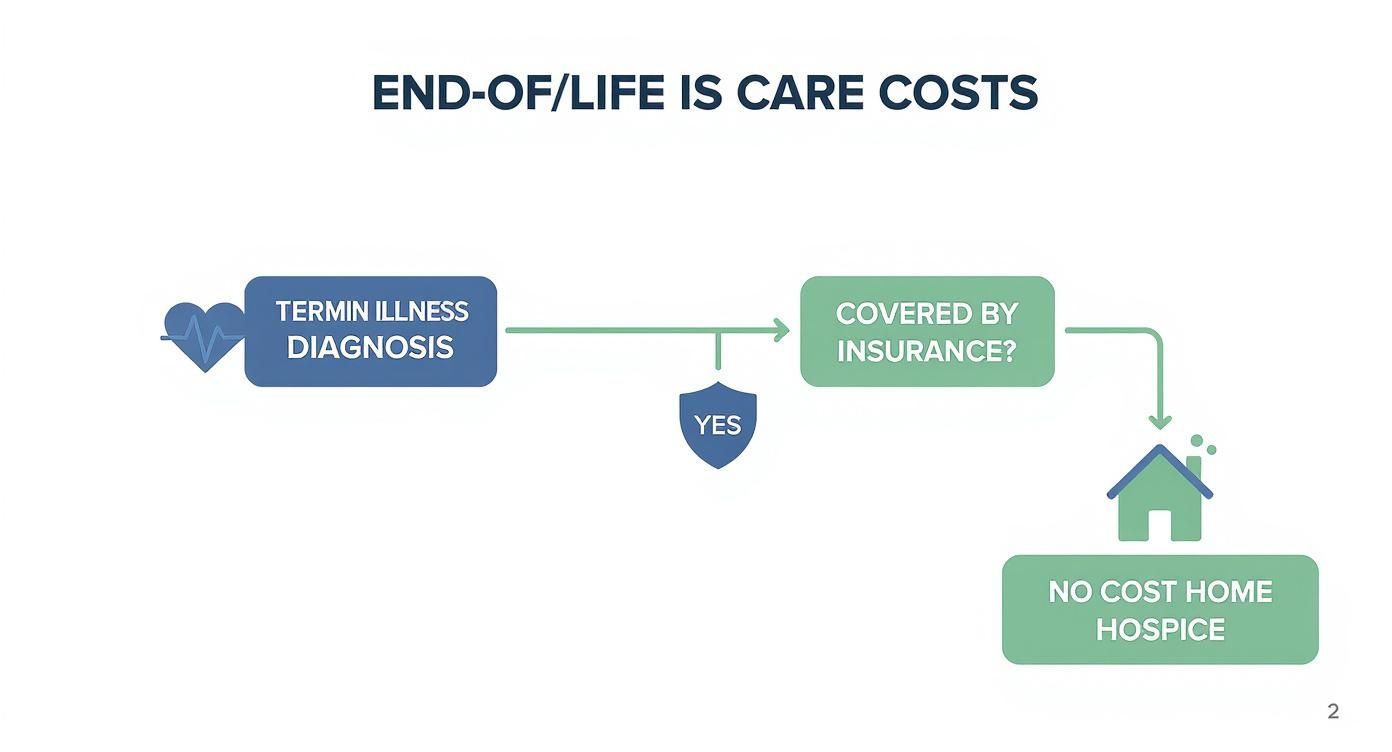 An infographic decision tree shows that a terminal illness diagnosis covered by insurance typically leads to no-cost home hospice care.
