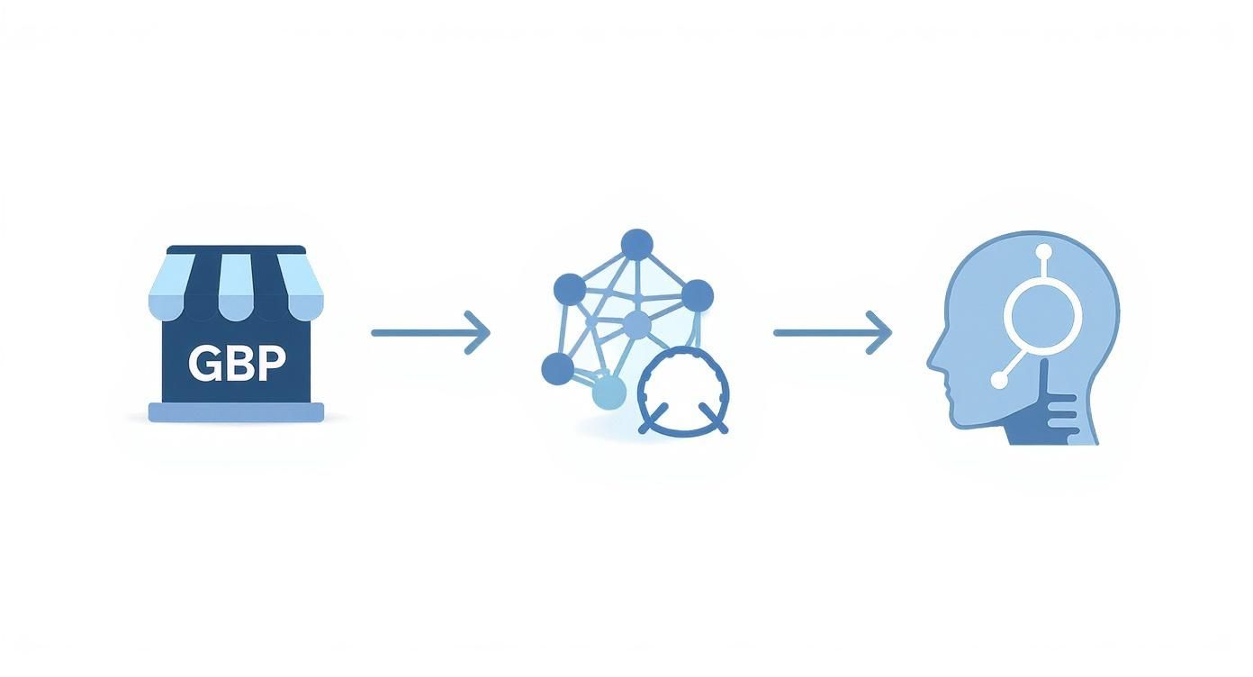 Infographic showing a Google Business Profile storefront icon feeding data to a network icon, which then feeds an AI robot head icon.