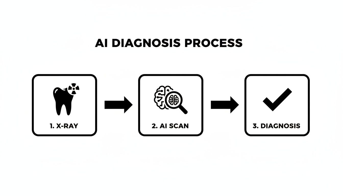 Diagram showing the AI diagnosis process from X-ray to AI scan and final diagnosis.