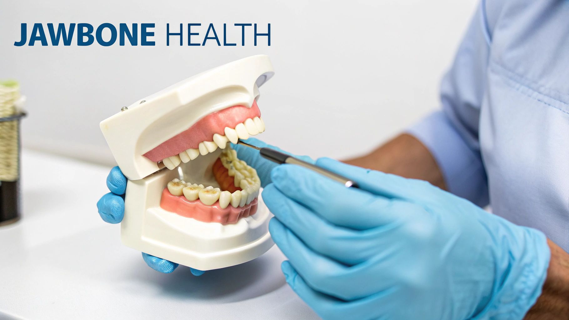 Beyond the Basics: What Scottsdale Patients Should Know Before Getting All-on-4 2 A dentist in blue gloves uses a dental probe on a jawbone model, emphasizing jawbone health.