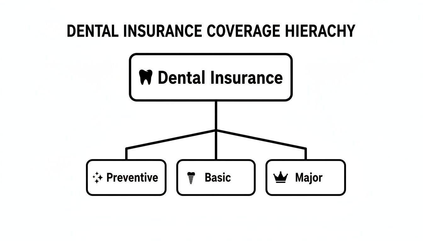 A hierarchy diagram illustrating <a href=