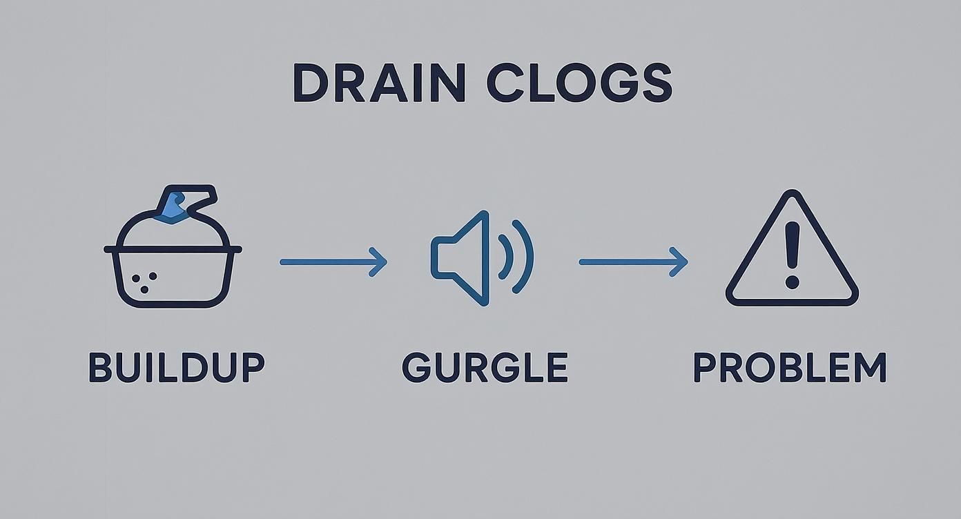 Infographic about how to fix a clogged bathroom sink—like a pro